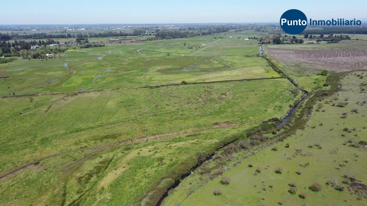 Nuble Alto (Time 0_00_09;00)