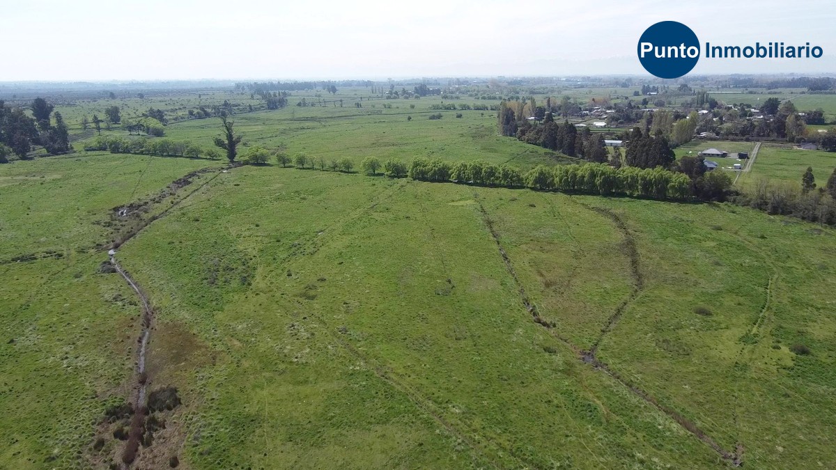 Nuble Alto (Time 0_00_12;00)