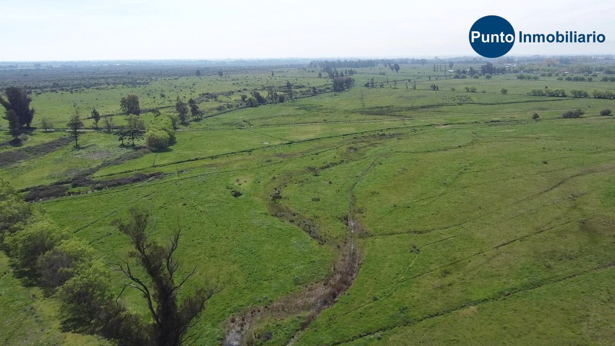 Nuble Alto (Time 0_00_18;00)