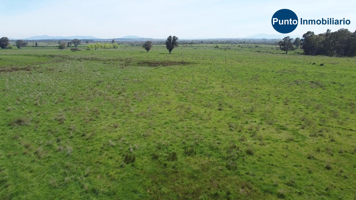 Nuble Alto (Time 0_00_49;24)