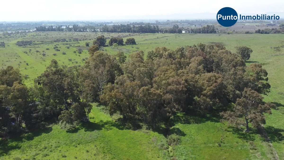 Nuble Alto (Time 0_00_51;00)