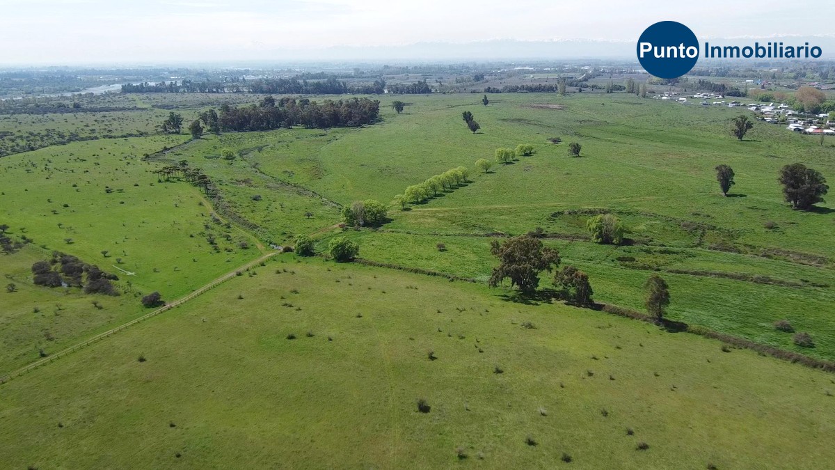 Nuble Alto (Time 0_00_58;18)