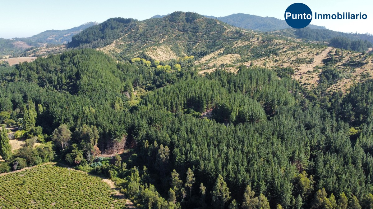 dji_fly_20260221_104050_648_1771681266144_photo_optimized