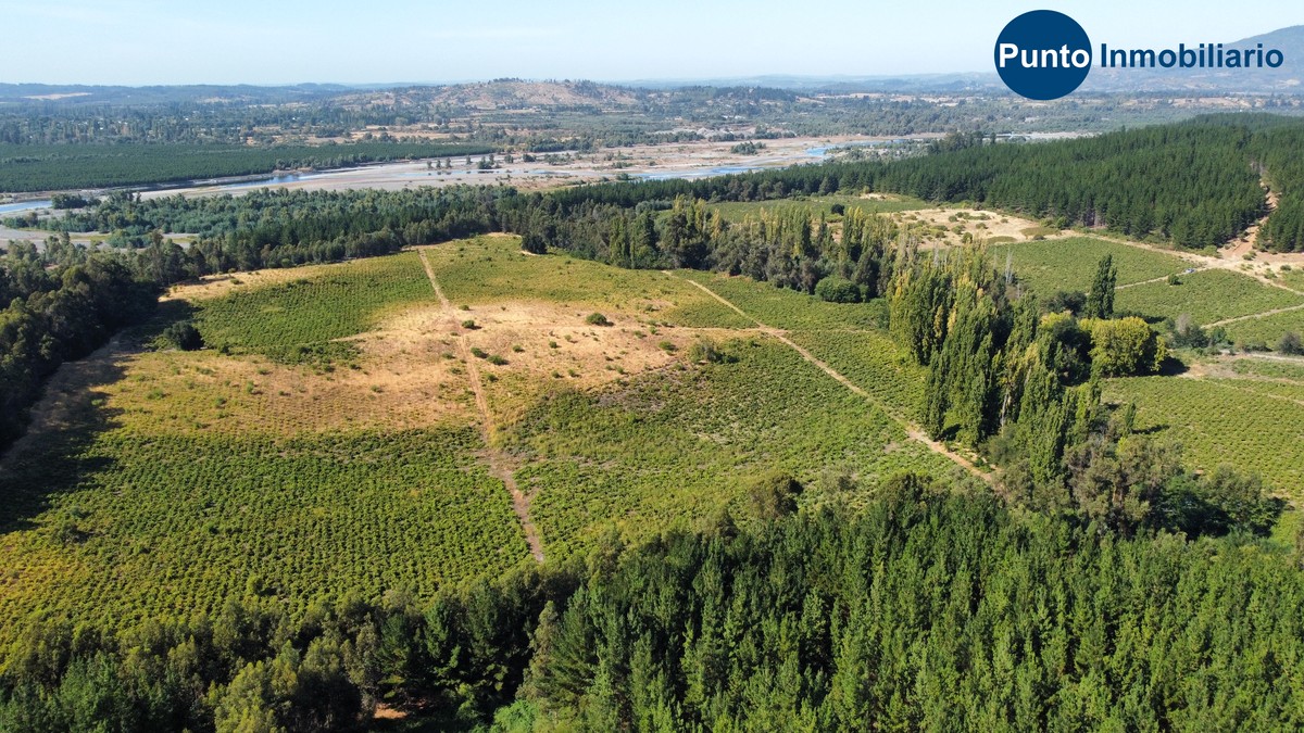 dji_fly_20260221_104204_650_1771681405883_photo_optimized