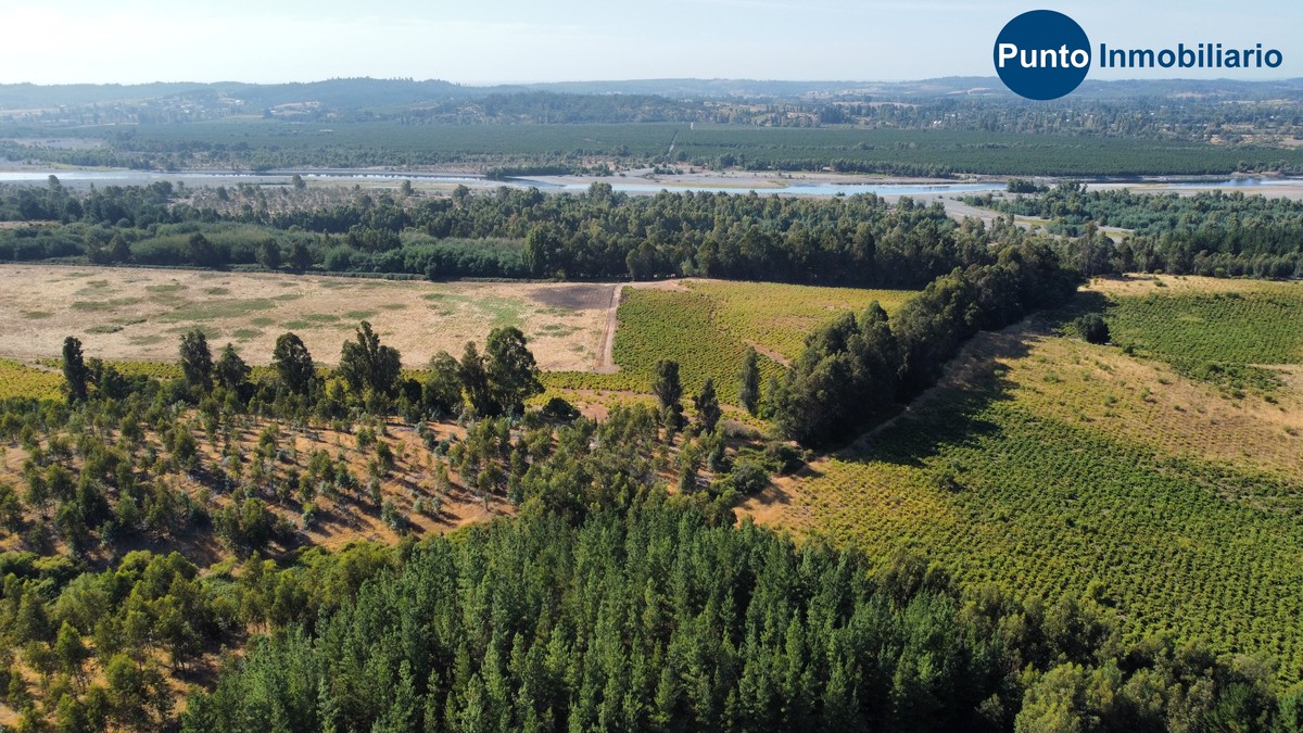 dji_fly_20260221_104208_651_1771681413501_photo_optimized