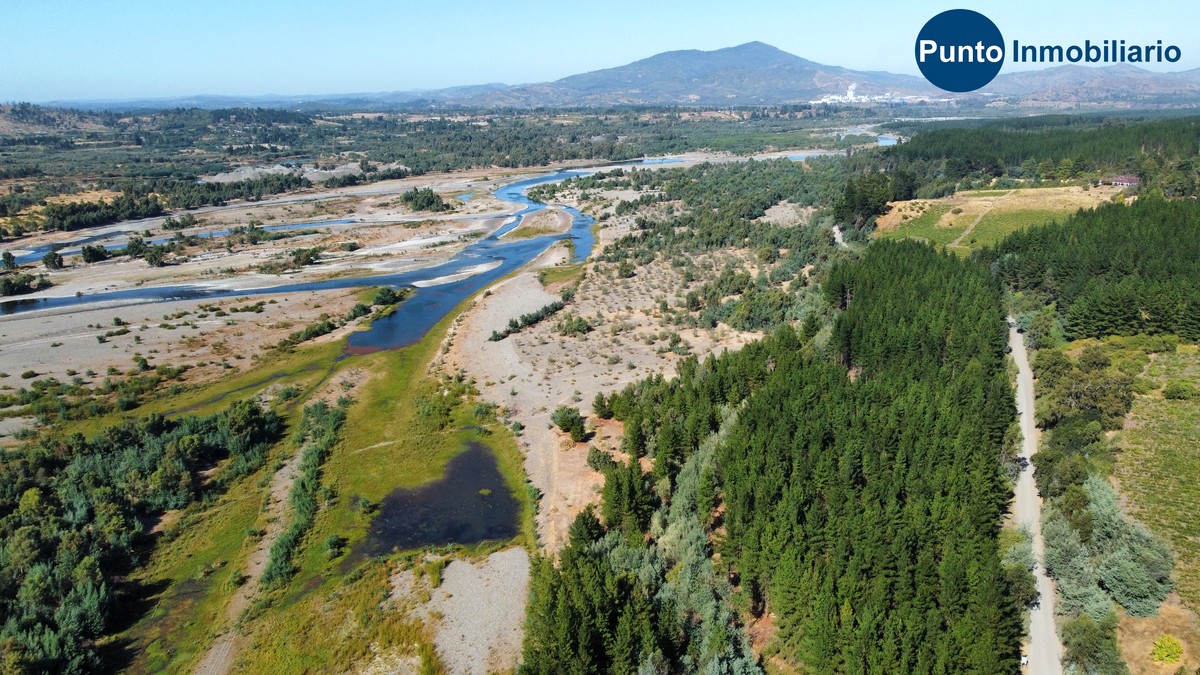 dji_fly_20260221_104656_662_1771857418914_photo_optimized