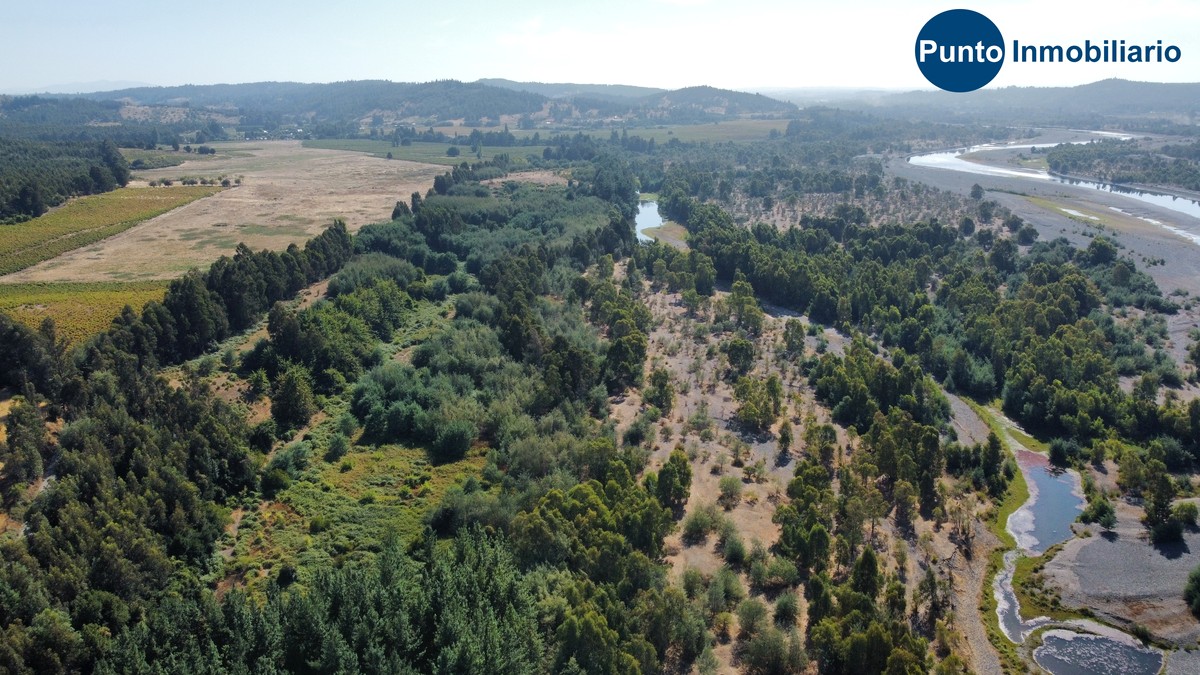 dji_fly_20260221_104710_663_1771857418019_photo_optimized