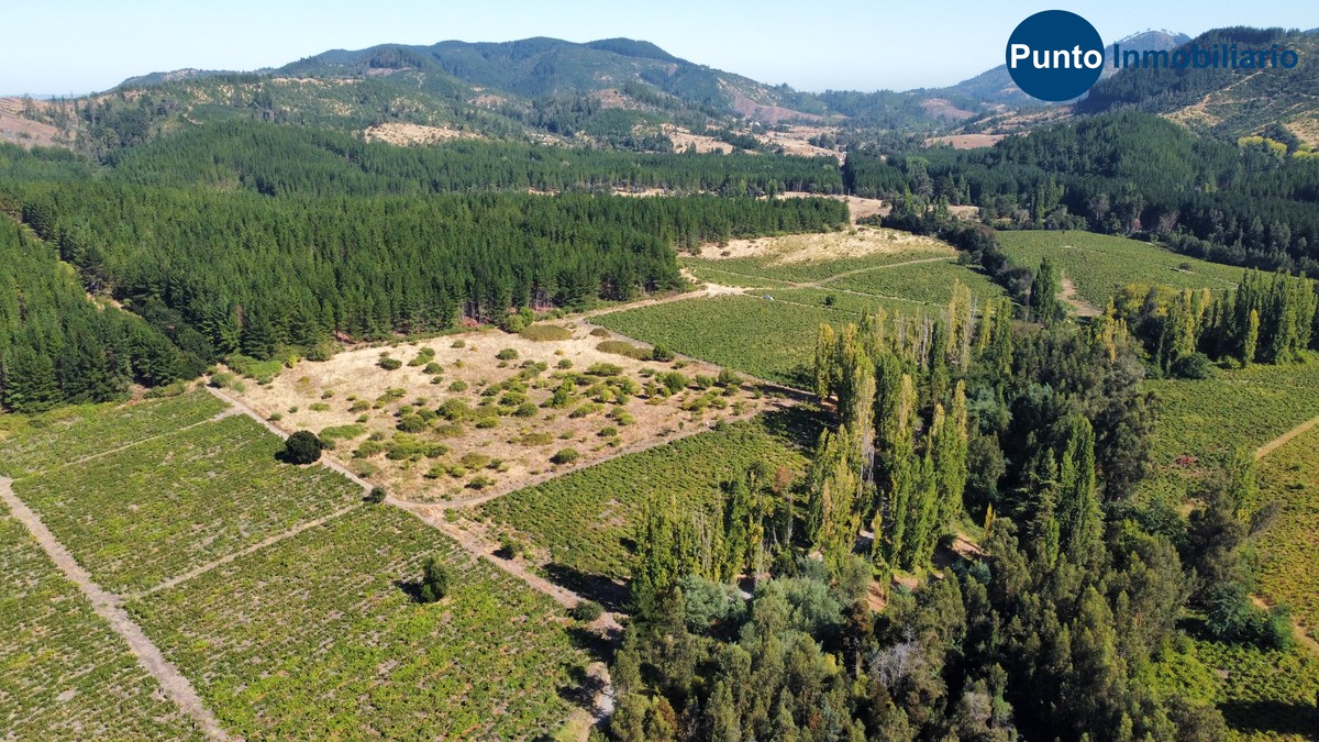 dji_fly_20260221_104716_665_1771857415585_photo_optimized