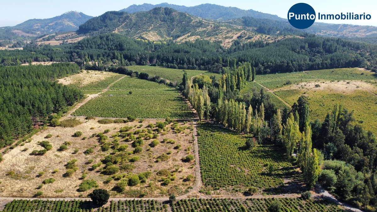 dji_fly_20260221_104754_668_1771857405077_photo_optimized