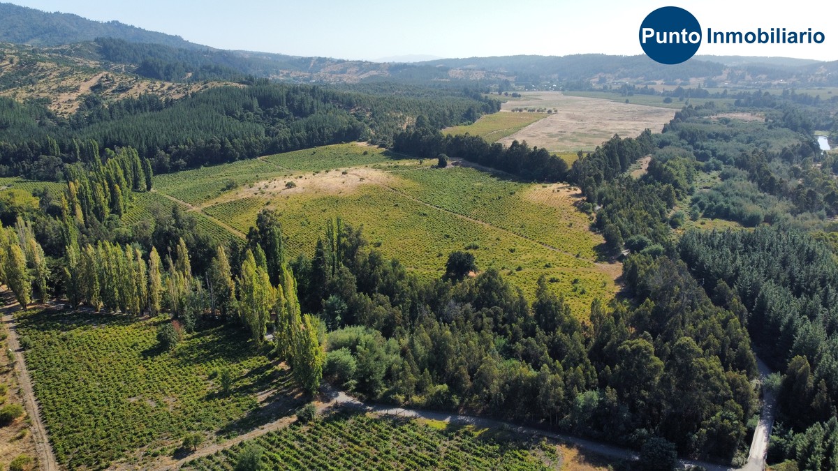 dji_fly_20260221_104756_669_1771857404209_photo_optimized