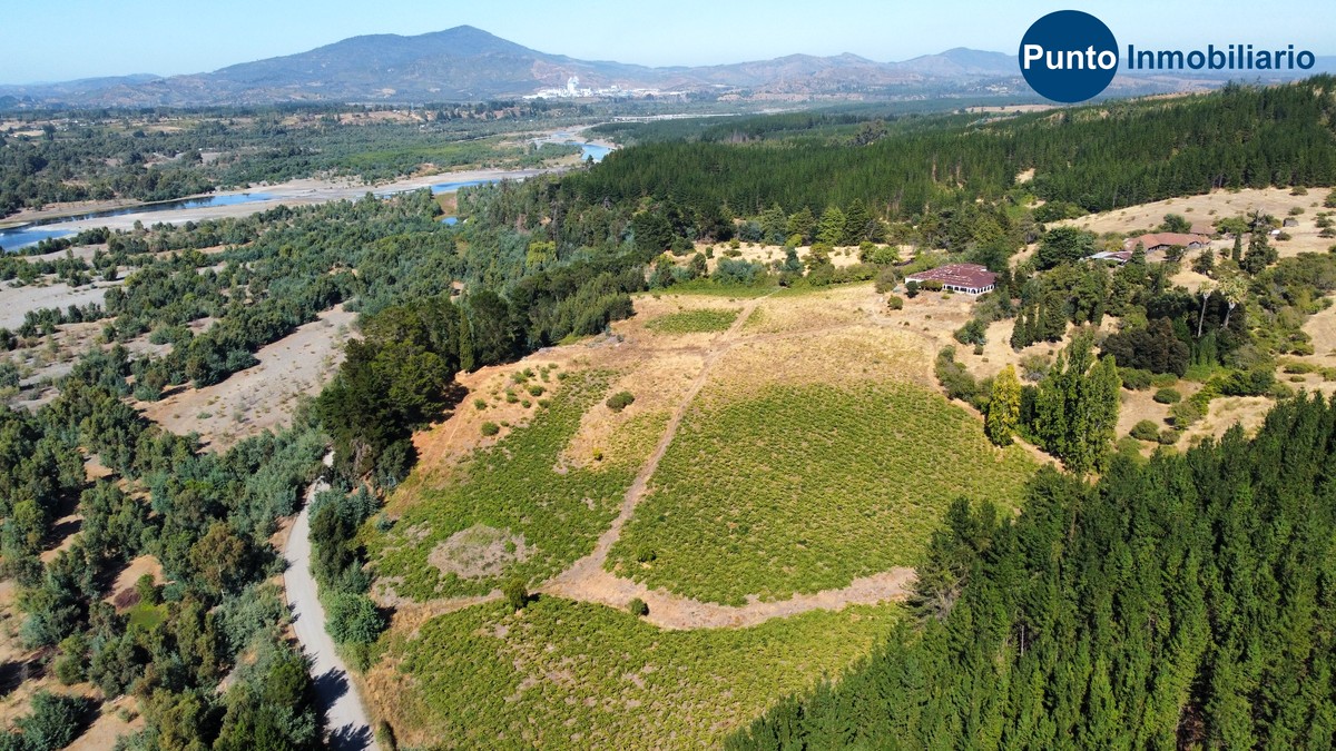 dji_fly_20260221_104946_674_1771857399765_photo_optimized