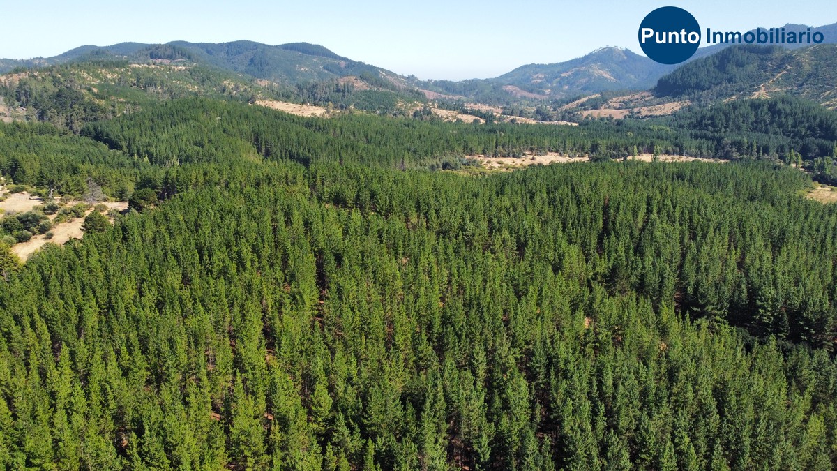 dji_fly_20260221_104954_675_1771857398241_photo_optimized