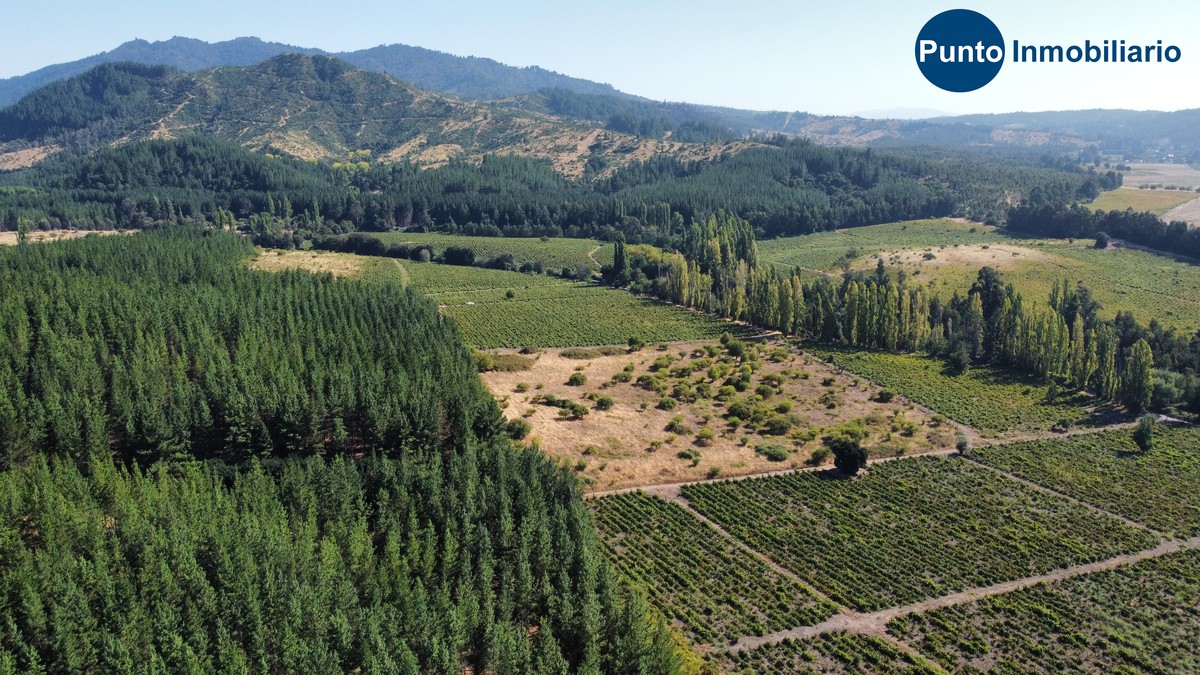 dji_fly_20260221_105002_676_1771857397356_photo_optimized