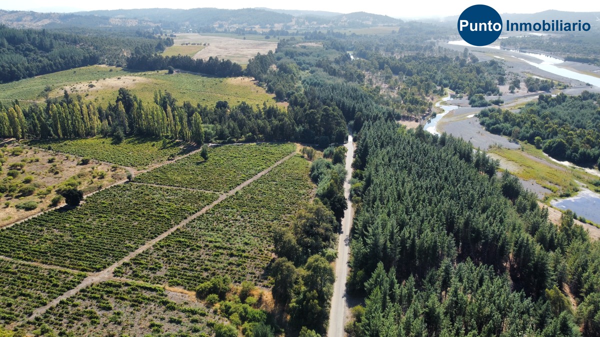 dji_fly_20260221_105010_677_1771857396443_photo_optimized