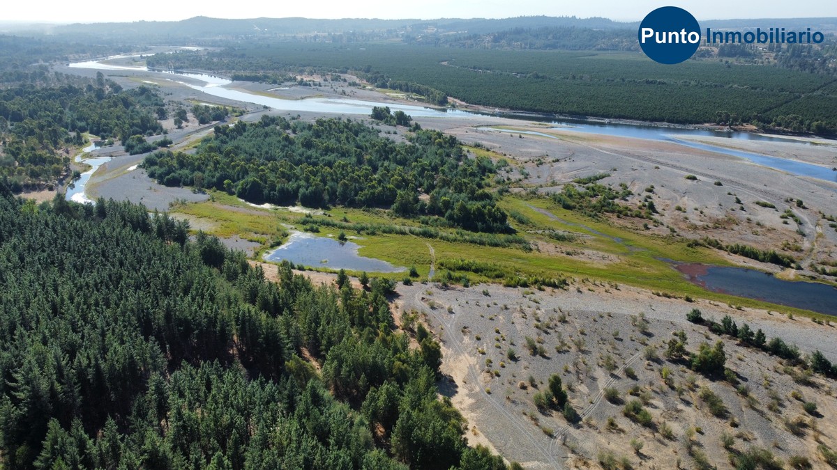 dji_fly_20260221_105016_678_1771857395564_photo_optimized