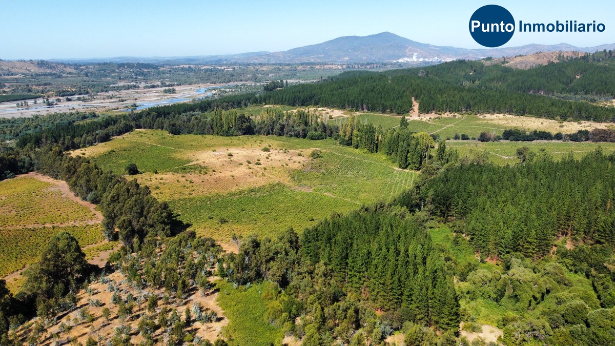 dji_fly_20260221_112404_703_1771683903454_photo_optimized