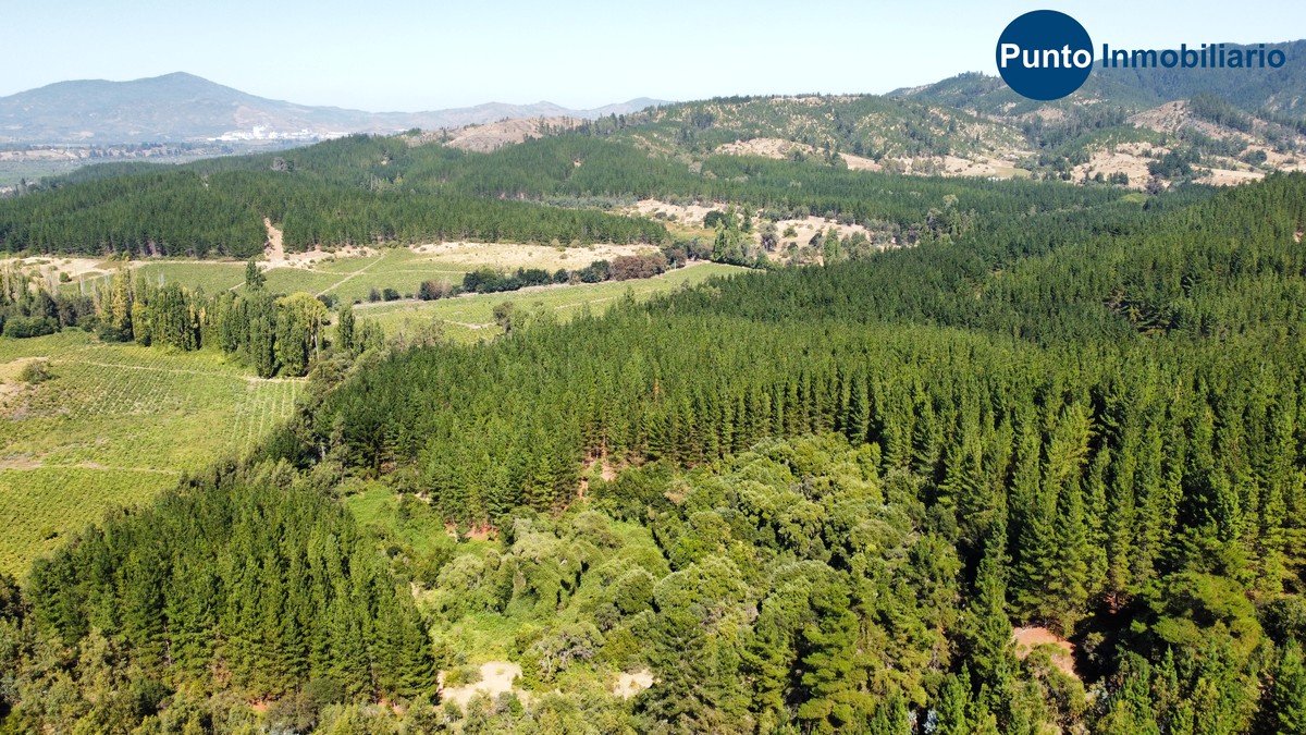 dji_fly_20260221_112424_704_1771683879837_photo_optimized