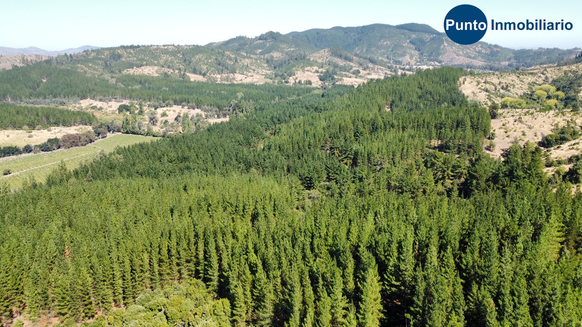 dji_fly_20260221_112600_706_1771683987057_photo_optimized