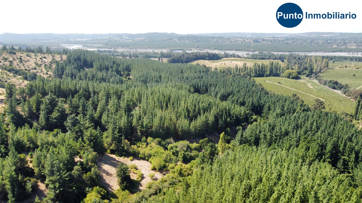 dji_fly_20260221_112846_712_1771684294560_photo_optimized