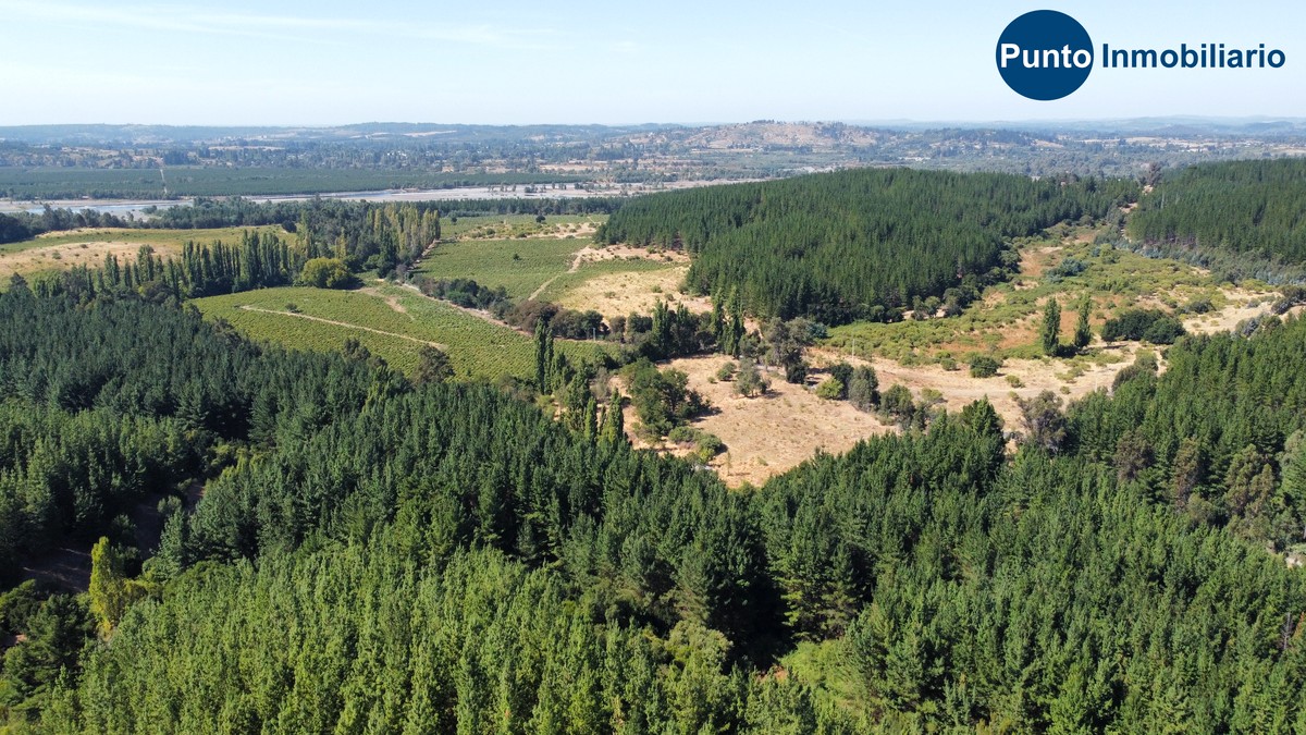 dji_fly_20260221_112848_713_1771684297062_photo_optimized