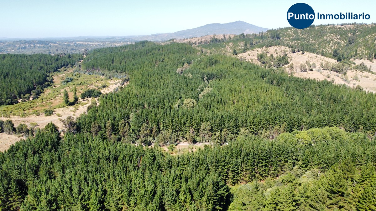 dji_fly_20260221_112852_714_1771684298326_photo_optimized