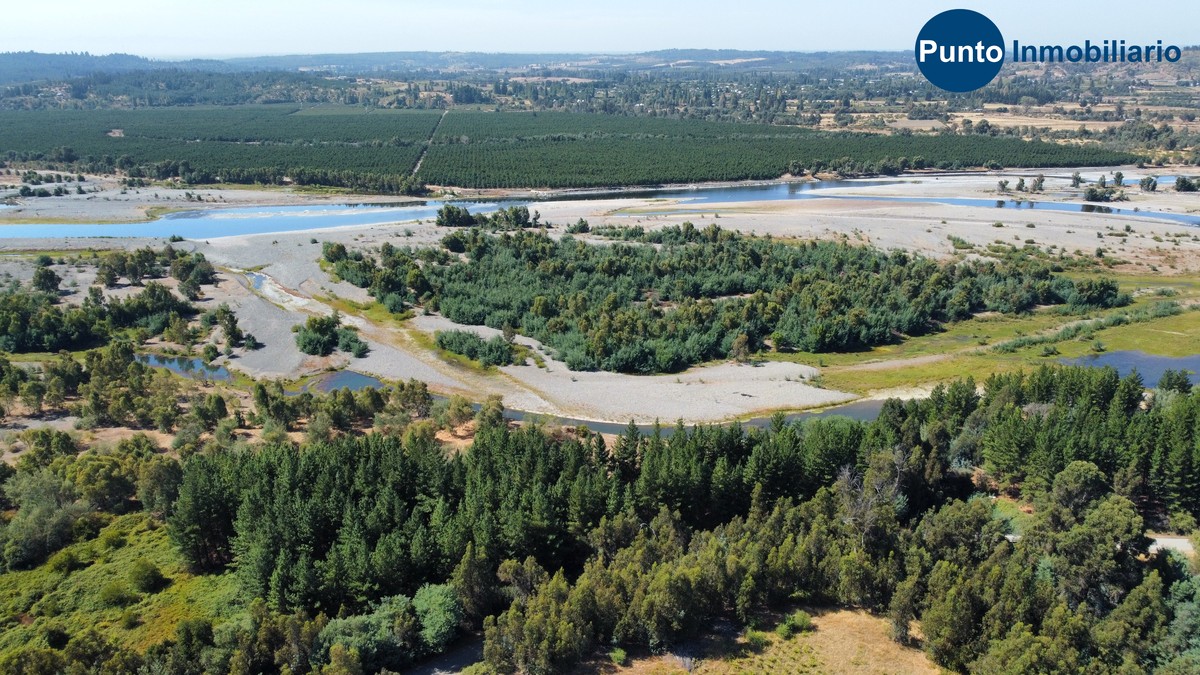 dji_fly_20260221_113150_721_1771684461715_photo_optimized