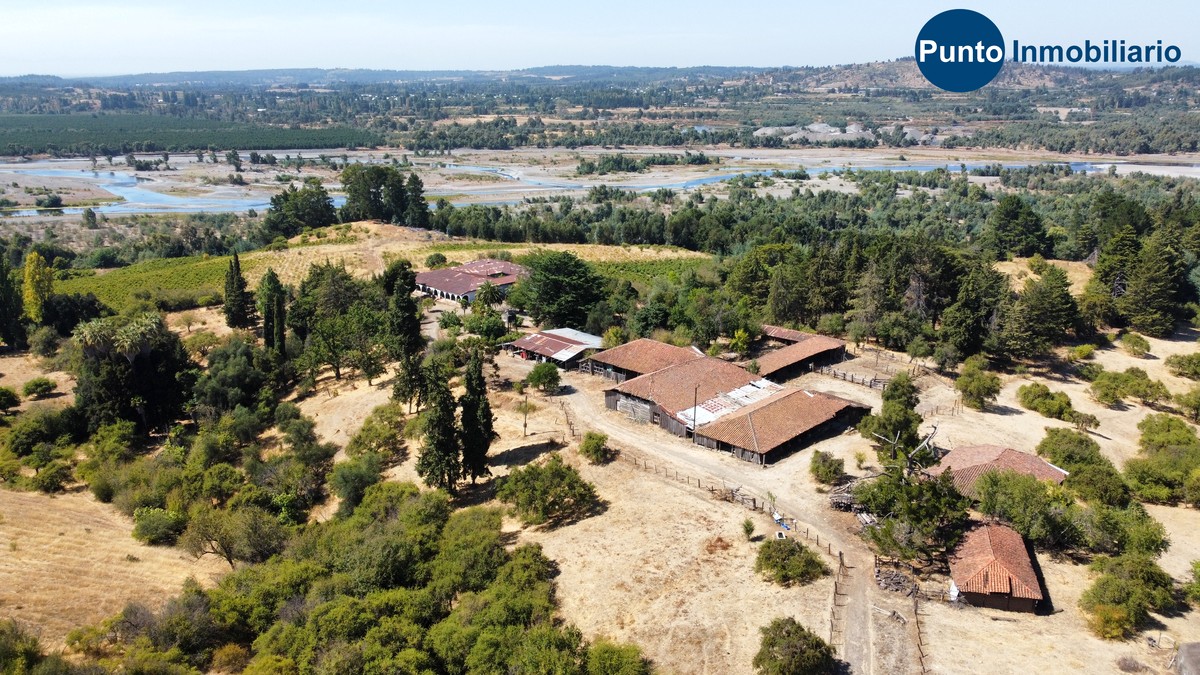 dji_fly_20260221_115000_726_1771685415836_photo_optimized