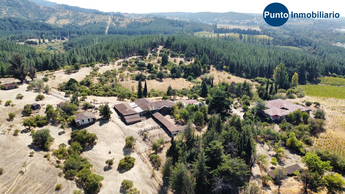 dji_fly_20260221_115234_730_1771685607572_photo_optimized