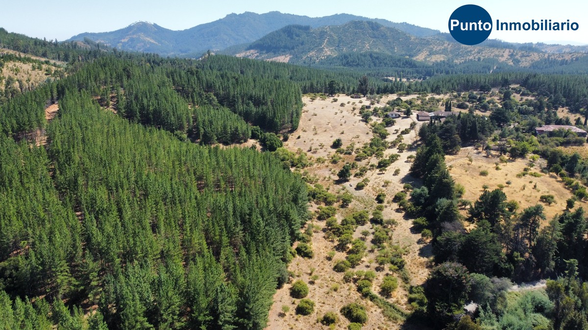 dji_fly_20260221_115334_734_1771685747389_photo_optimized