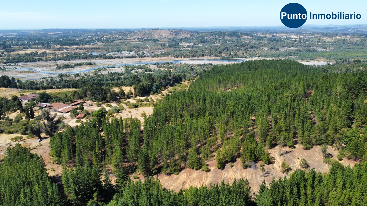 dji_fly_20260221_115828_753_1771857356942_photo_optimized