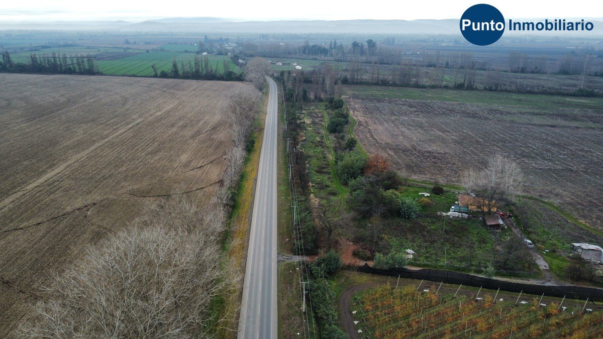 dji_fly_20260609_114416_933_1781019872063_photo_optimized