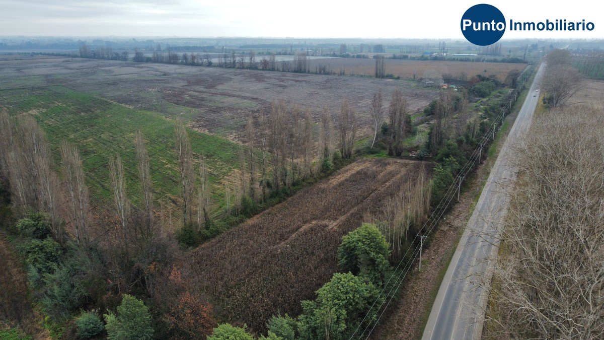 dji_fly_20260609_114600_940_1781020030561_photo_optimized