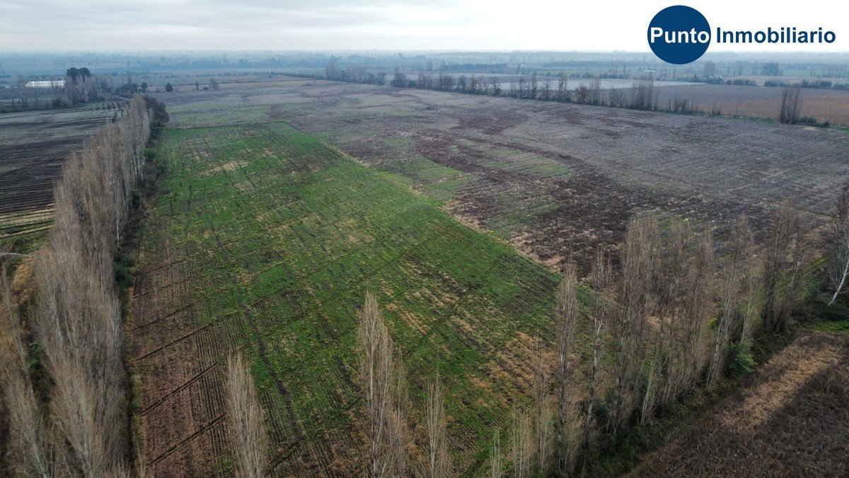 dji_fly_20260609_114610_941_1781020026452_photo_optimized