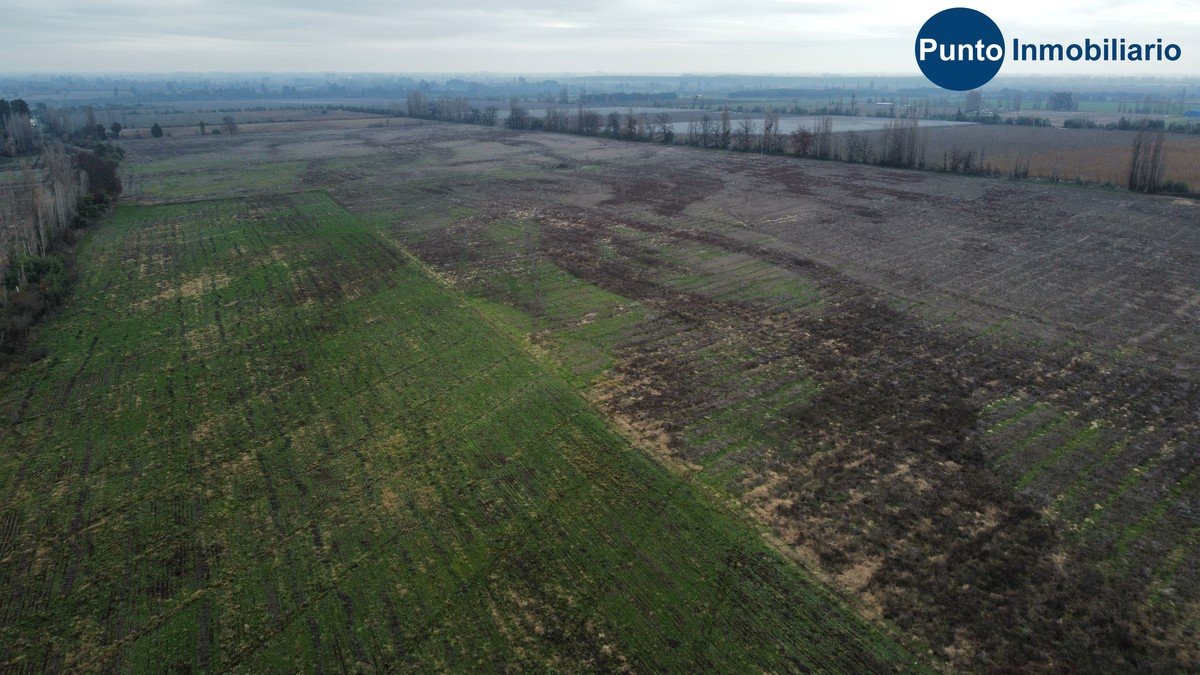 dji_fly_20260609_114618_942_1781020051073_photo_optimized