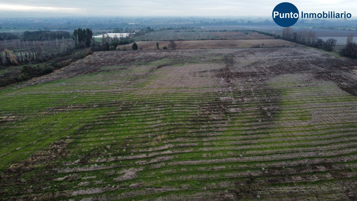 dji_fly_20260609_114840_948_1781020233104_photo_optimized